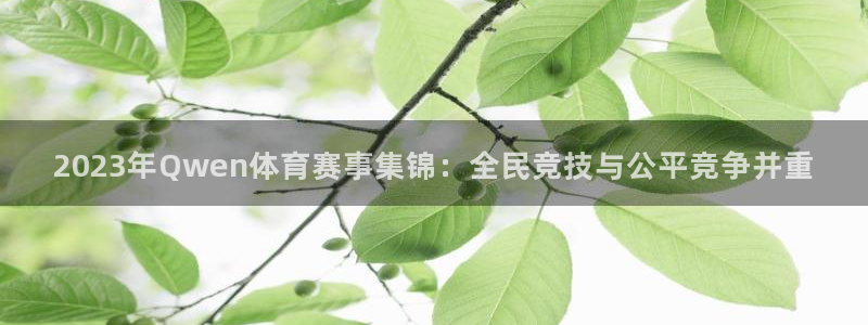 2023年Qwen体育赛事集锦：全民竞技与公平竞争并重