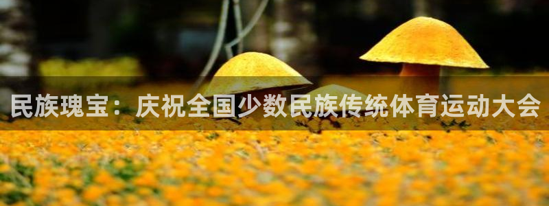 民族瑰宝：庆祝全国少数民族传统体育运动大会