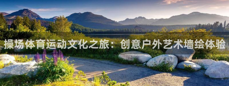 操场体育运动文化之旅：创意户外艺术墙绘体验