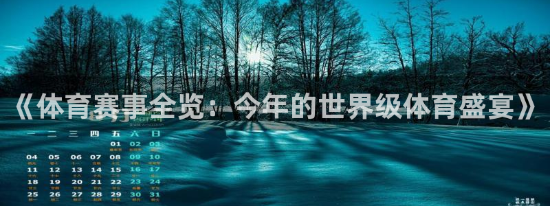 《体育赛事全览：今年的世界级体育盛宴》