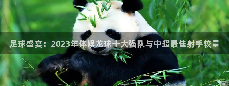 足球盛宴：2023年体娱龙球十大强队与中超最佳射手较量