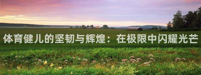 体育健儿的坚韧与辉煌：在极限中闪耀光芒