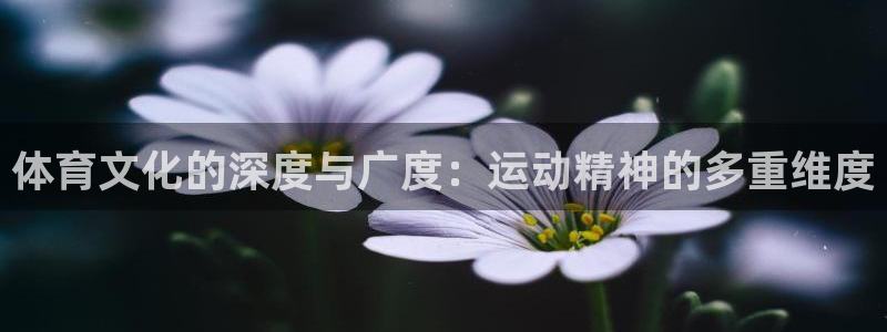 体育文化的深度与广度：运动精神的多重维度